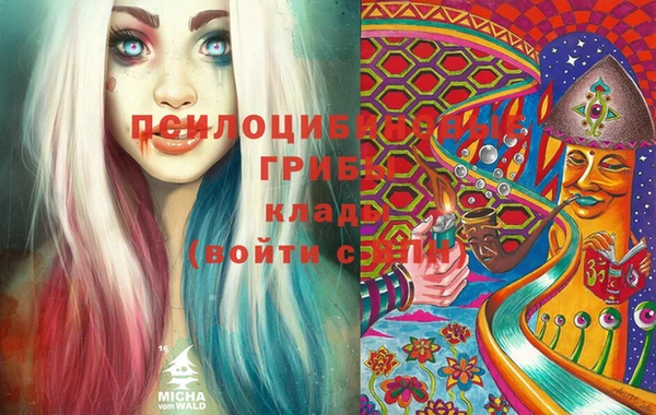 мдпв Абдулино