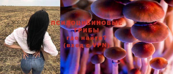 прущая мука Абаза