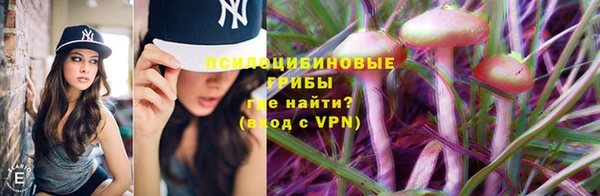 прущая мука Абаза